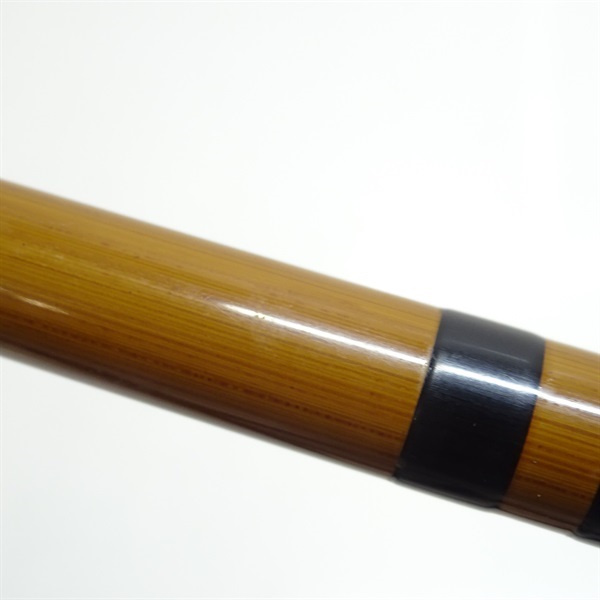 普天元 大我十三